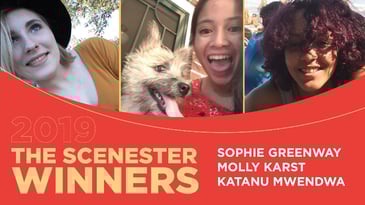 2019-Scenesters-Fixed-800