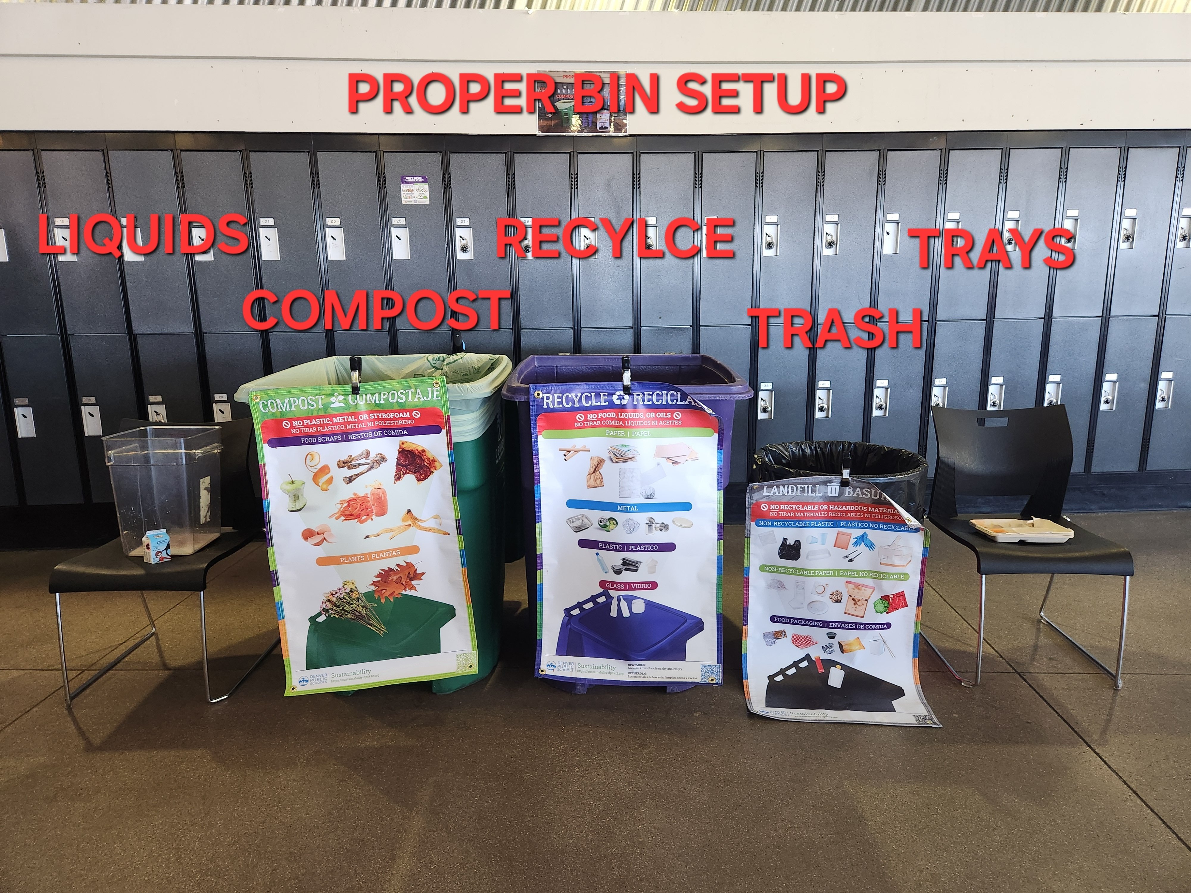 Bin Setup