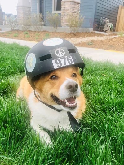 Biscuit with Helmet