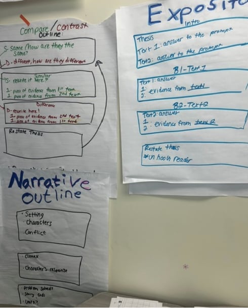 Copy of ELA Bright Spot Summary (4)