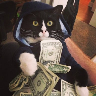 Meowcolm Hoodie Money