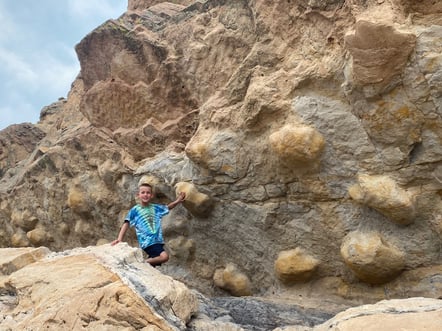 Trey Fossils