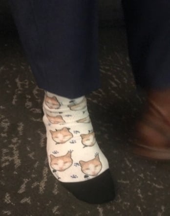 catsocks